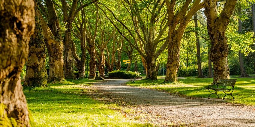 Kaifi Azmi Park features serene green space for walks and relaxation for travellers.