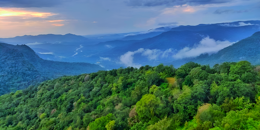 A picture of a verdant hill, which is one of the best places to visit in Sirsi, Karnataka