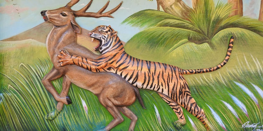 Image of the beautiful artwork showcased in the reserve representing a deer and a tiger