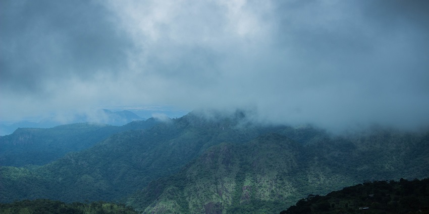 The lush greenery and wildlife at Kalakkad Mundanthurai Tiger Reserve.