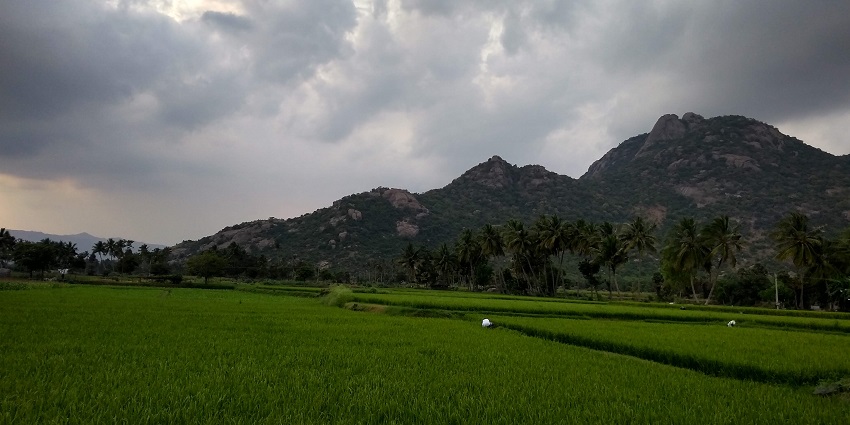 Kalrayan Hills offers stunning landscapes and greenery for rock climbing Chennai.