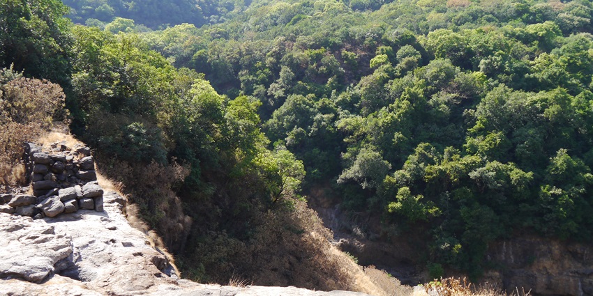A quaint view of Kalsubai Harishchandragad Wildlife Sanctuary, featuring lush greenery.