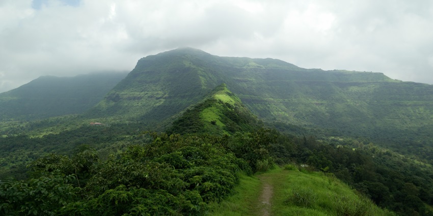 The hilltop of Tikona Fort, surrounded by lush greenery and other hills covered in mist.