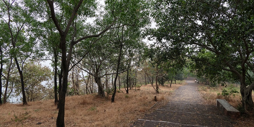 A view of Kanakeshwar forest with trees all around, a tourist attraction in Maharashtra.