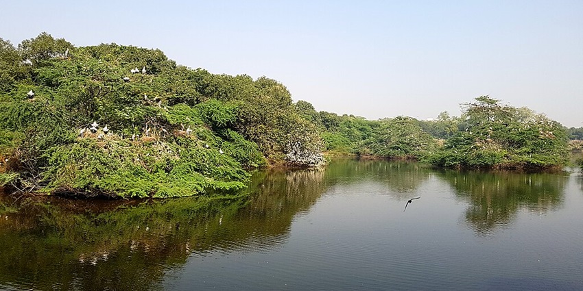 Kanpur Zoological Park is an ideal place for anyone interested in the natural world