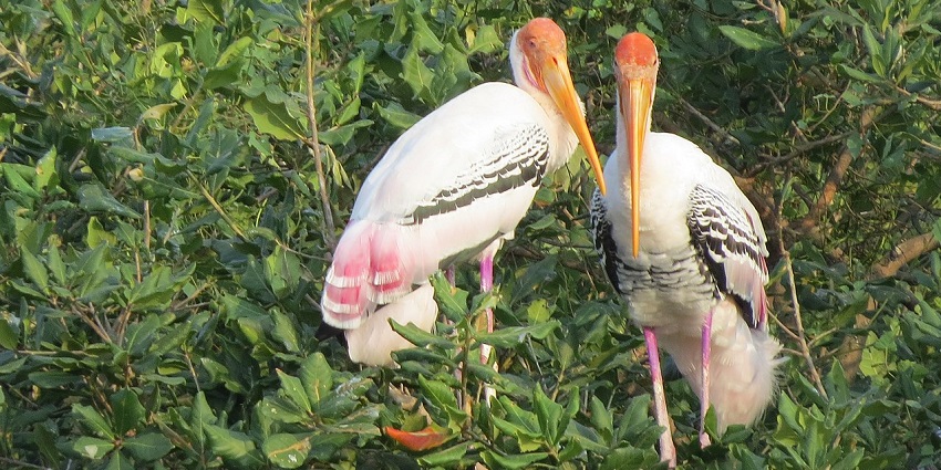 Sanctuary home to diverse flora and fauna, great for exploration
