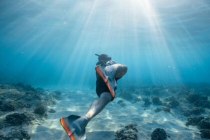 Thrilling snorkelling in Chennai reveals vibrant marine life and coastal magnificence.