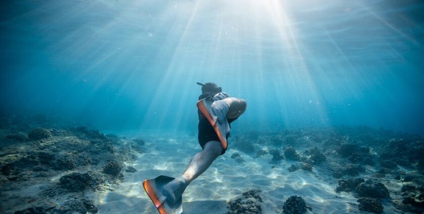 Thrilling snorkelling in Chennai reveals vibrant marine life and coastal magnificence.