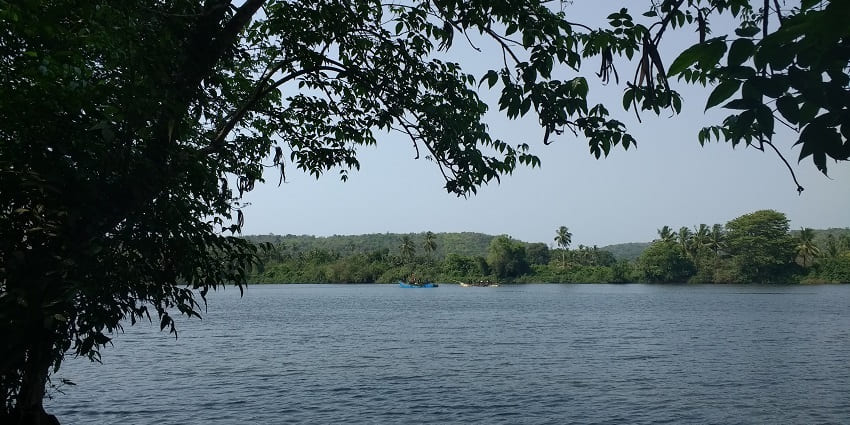 Serene view of Karli Backwaters with lush greenery and calm waters.
