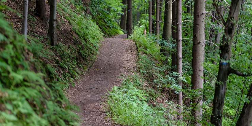 An image of Karnal Trail winding through picturesque landscapes of the Western Ghats.