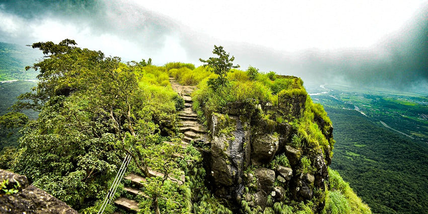 Karnala Bird Sanctuary offers birdwatching, trekking, lush greenery, and historic fort