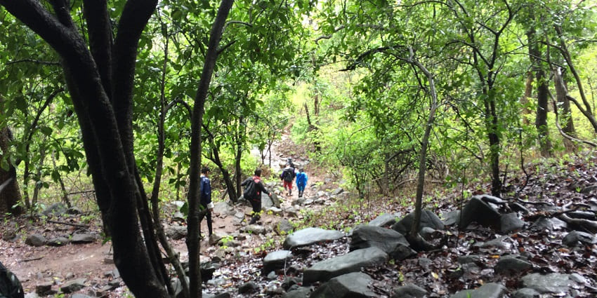 Karnala Bird Sanctuary is a beautiful place near Mumbai where you can spot a variety of bird species
