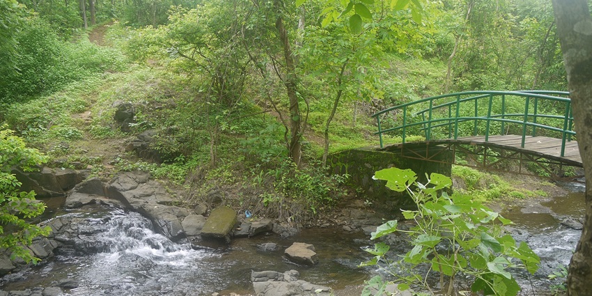 Karnala Bird Sanctuary is a tourist spot near Kalavantin Fort, filled with wildlife.