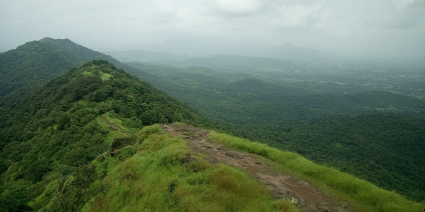 The Karnala Bird Sanctuary is a must-visit attraction in the region for wildlife lovers.