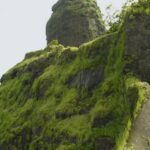 A picture of trekkers enjoying the scenic views while exploring Karnala fort trekking.