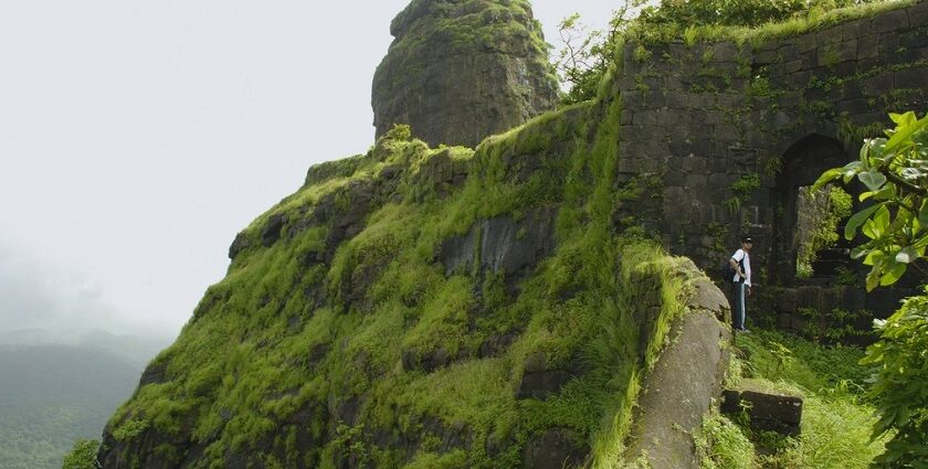 A picture of trekkers enjoying the scenic views while exploring Karnala fort trekking.