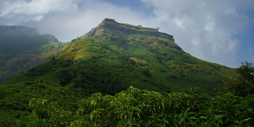 Historic Rajgad Fort in Maharashtra with stone walls atop a lush green hill.