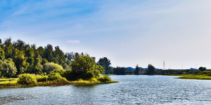 Kasarkod Beach, is among the famous tourist places in Honnavar with pristine sands.