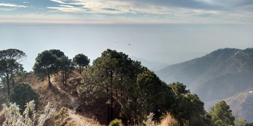 A scenic view of a mountain range with trees in Kasuli, a famous spot among nature lovers.