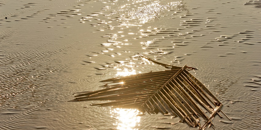 View of Kashid Beach with golden sands and waves, showcasing things to see in Maharashtra.