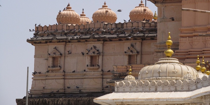 A picture of a temple taken from a distance with numerous birds sitting on its dome