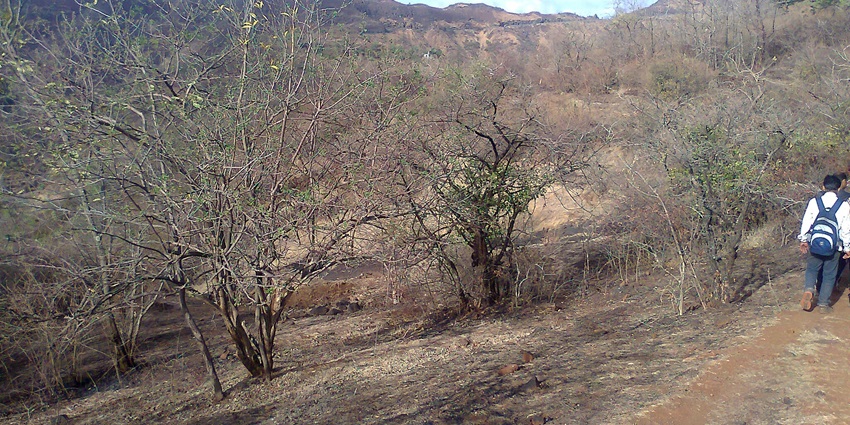 An image of the Katraj and Sinhgad trek, one of the best options for hiking in Maharashtra.
