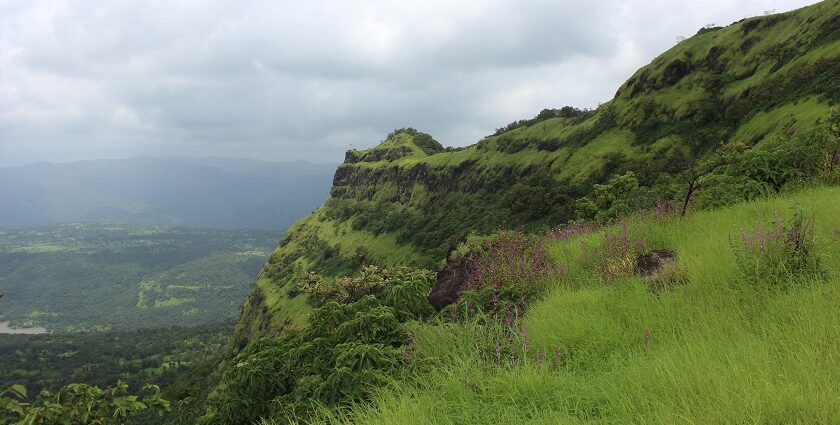 A view of a famous tourist attraction in Maharashtra surrounded by lush greenery.