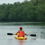 Kayaking in Kolad, paddling through the lake of Bincungan River surrounded by dense greenery