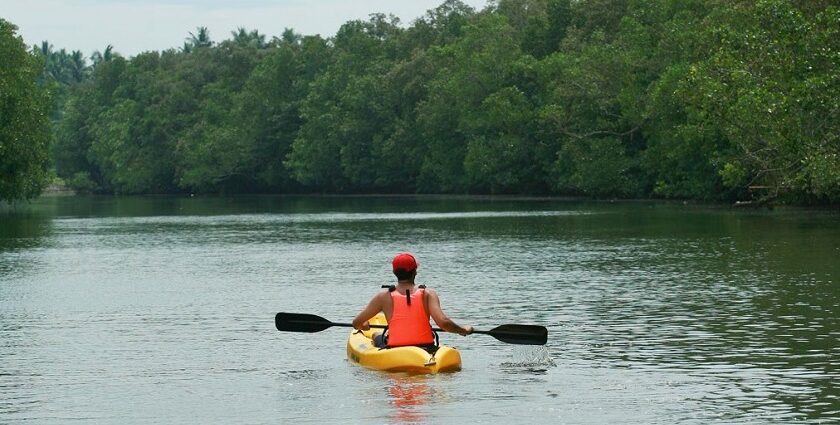 Kayaking in Kolad, paddling through the lake of Bincungan River surrounded by dense greenery