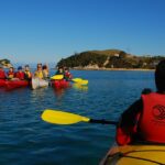 A group of people kayaking in Abel Tasman National Park's crystal-clear water amid hills.