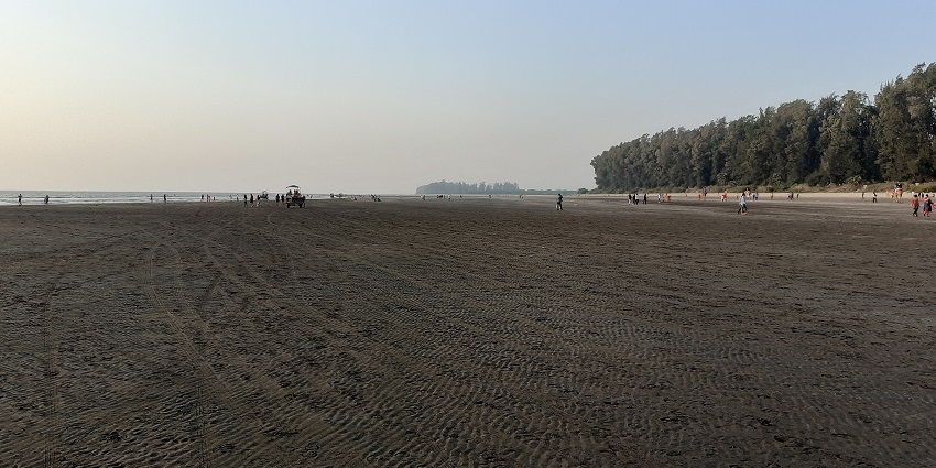 A scenic view of the quaint black sands and palm trees of Kelva Beach in Maharashtra.