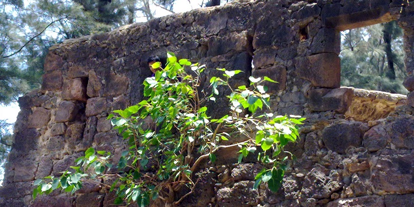 Kelva Fort, the historic coastal fort with scenic views and heritage.