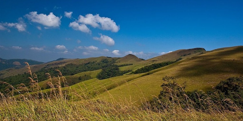 Enjoy serene vibes at Kemmanagundi, one of the best places to visit in Karnataka for couples.