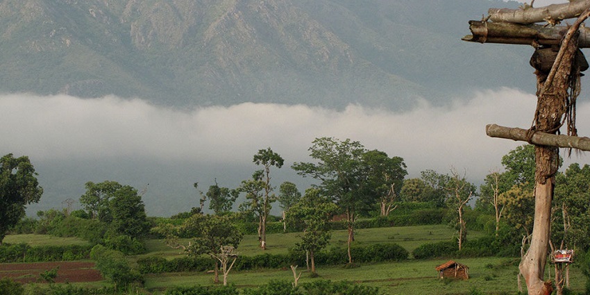 The scenic view of Kemmangund, showcasing its lush greenery and serene landscape.