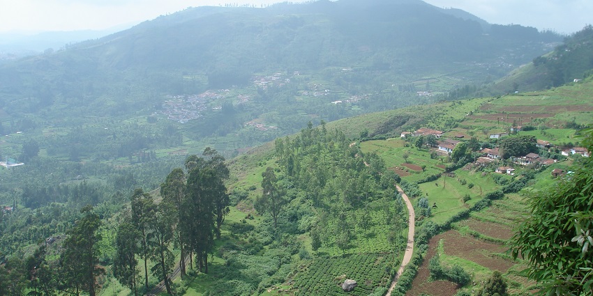A picture of Ketti, which is very famous for breathtaking valley views and tea estates.