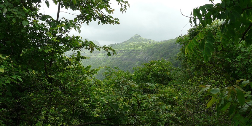 A picture of Khandala's mountain hilltop, which is covered in greenery with rolling hills.