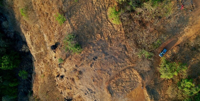 A bird’s eye view of majestic peaks dotted with lush greenery and rustic terrains.