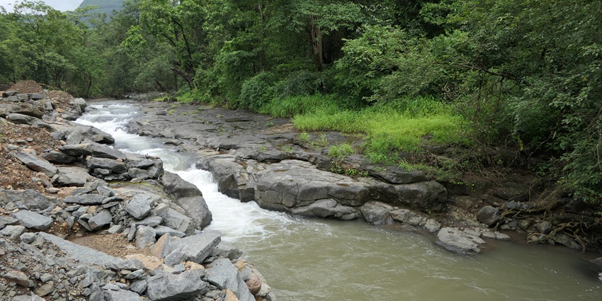 The stream passes through uneven rocks surrounded by the green landscape of Lonavala Valley.
The stream passes through uneven rocks surrounded by the green landscape of Lonavala Valley.
