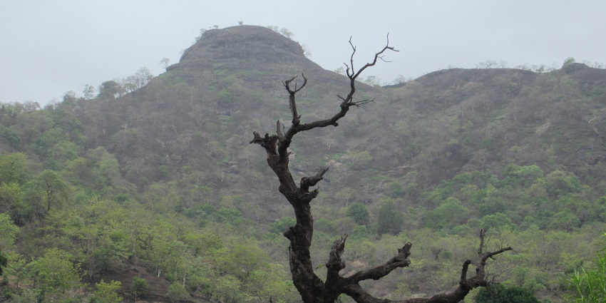 Panoramic view of Yashwant Nagar in Khopoli, showcasing the lush landscape of Maharashtra.