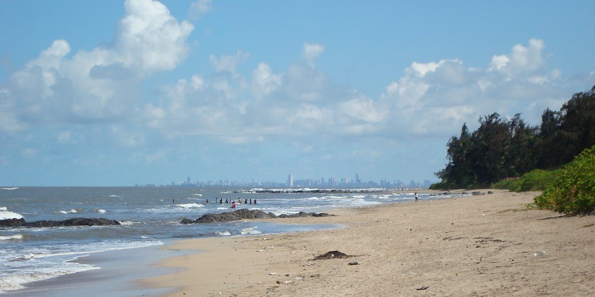 View of Kihim Beach with scattered palm trees, a famous beach in Raigad