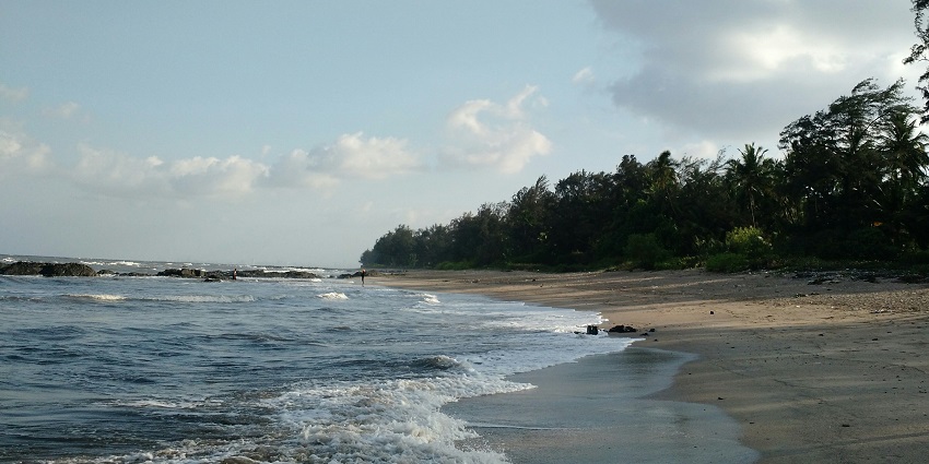 View of Kihim Beach, showcasing golden sands and palm trees, a famous beach in Konkan.