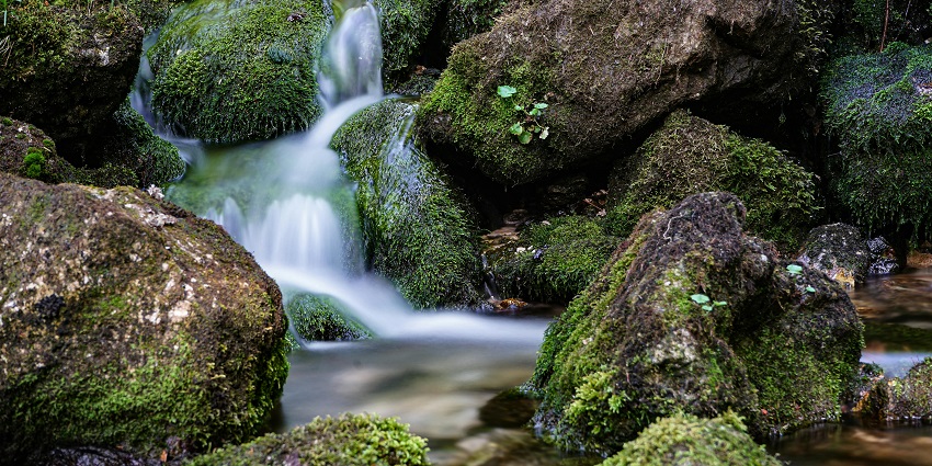 A breathtaking vista of Kiliyur Falls in Tamil Nadu, one of the serene Erode waterfalls.