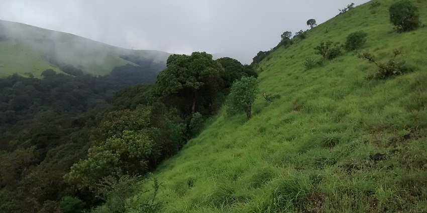 Kodachadri peak offers breathtaking monsoon views of lush greenery and waterfalls.