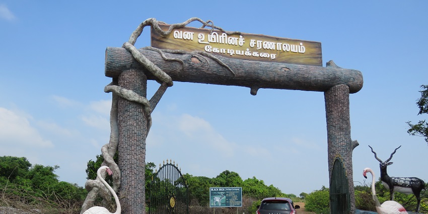 An image of Point Calimere Wildlife and Bird Sanctuary, a renowned spot for nature lovers.