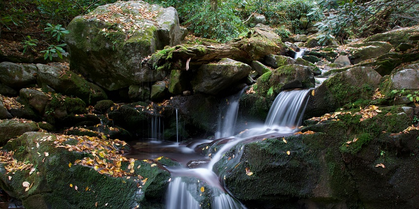 A glimpse of water cascading through the cliffs and surrounded by lush greenery.