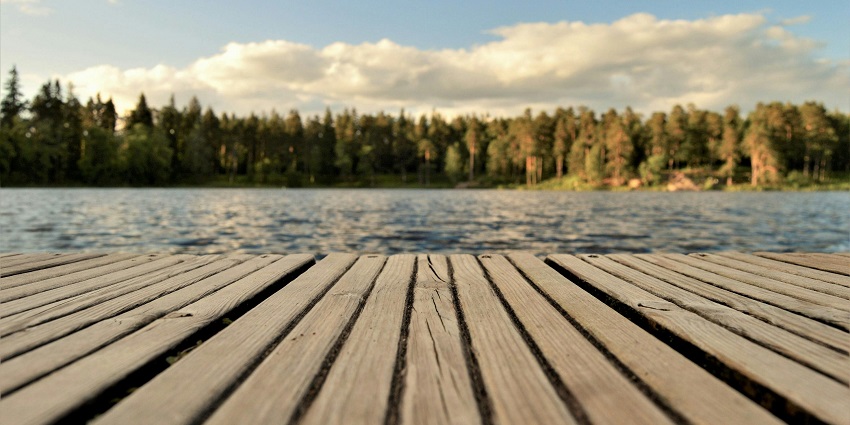 An image of the serene Kohka Lake near Pench National Park, surrounded by dense forests and birds.