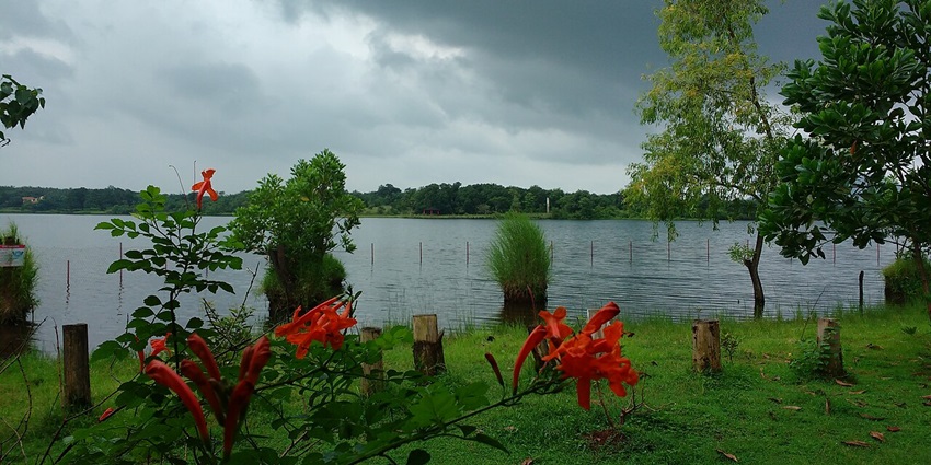 A picture of a scenic lake in Kolad, which is one of the best places to visit near Pune in winter