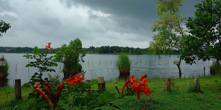 A picture of a small village Kolad - one of the places to visit near couples near Mumbai.