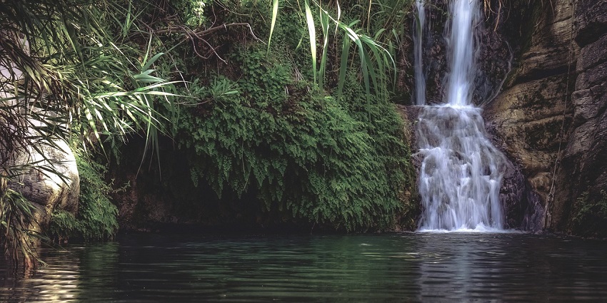 Waterfall flowing into a pond surrounded by greenery.