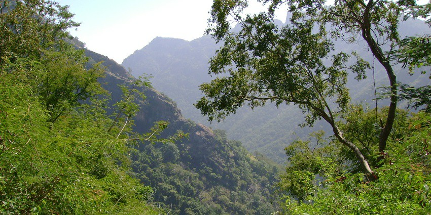 A picture of trekking trails, which is one of the perfect spots.
